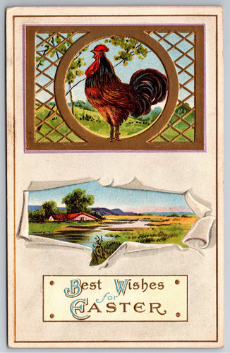 Pasqua rilievo gallo - in,