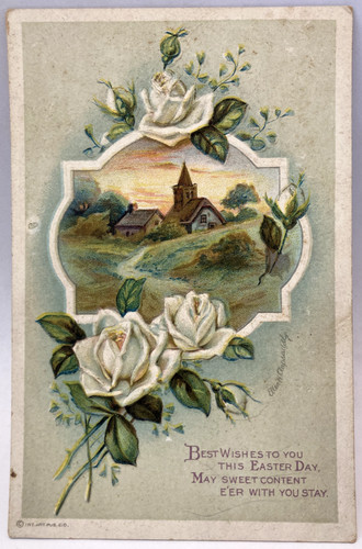 Auguri pasqua rose bianche - auguri,