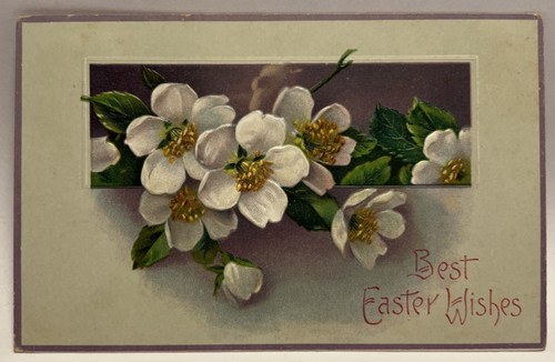 Auguri pasqua fiori - auguri, pasqua,