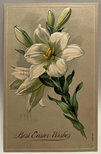 1909 migliori auguri - auguri, di