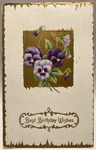 Auguri compleanno pansies - di, compleanno,