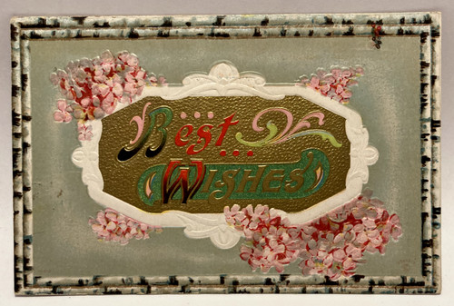 Auguri fiori rosa - auguri,, bordo