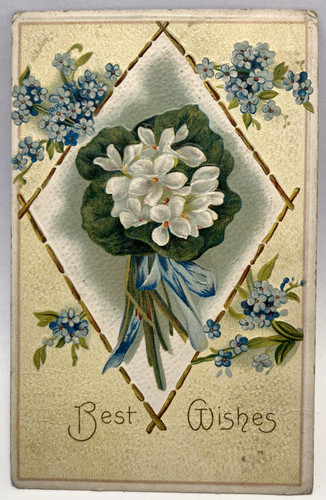 Auguri 1909 fiori bianchi - 1909,,