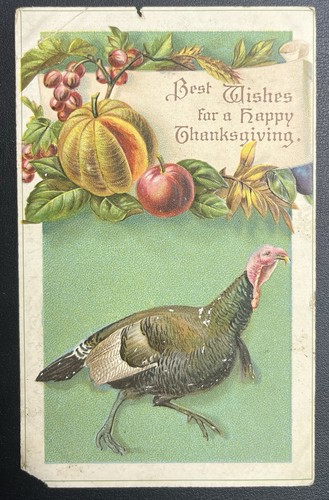 Auguri buon ringraziamento - buon,