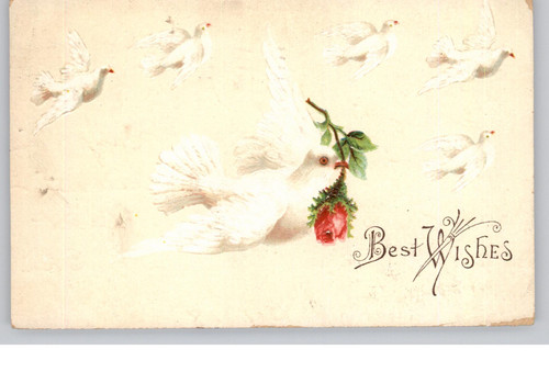 Best wishes white doves - best,