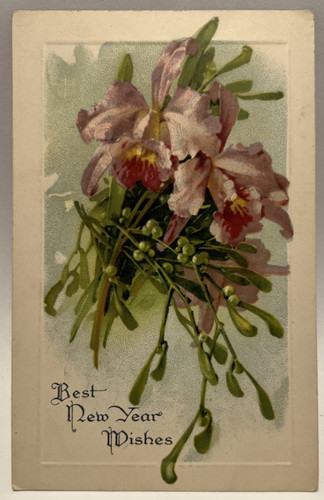 Auguri capodanno iris - di,