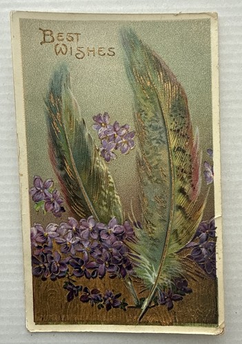 Auguri piume viola fiori - auguri,